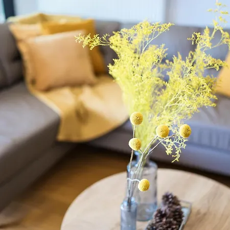 Διαμέρισμα Allure Premium Ζαντάρ